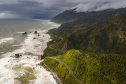 New Zealand 2025 (1 group) (61/66)